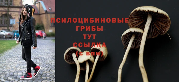 ГАЛЛЮЦИНОГЕННЫЕ ГРИБЫ Домодедово