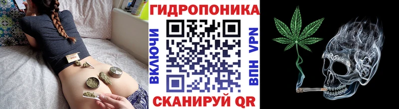 Канабис AK-47  Купить закладки  Мензелинск 